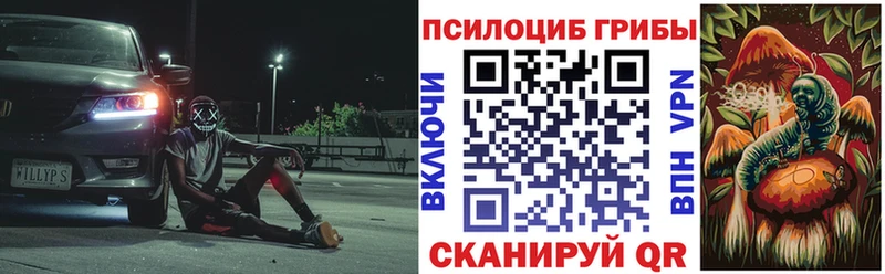 кракен сайт  Орлов  Псилоцибиновые грибы MAGIC MUSHROOMS  где можно купить наркотик 